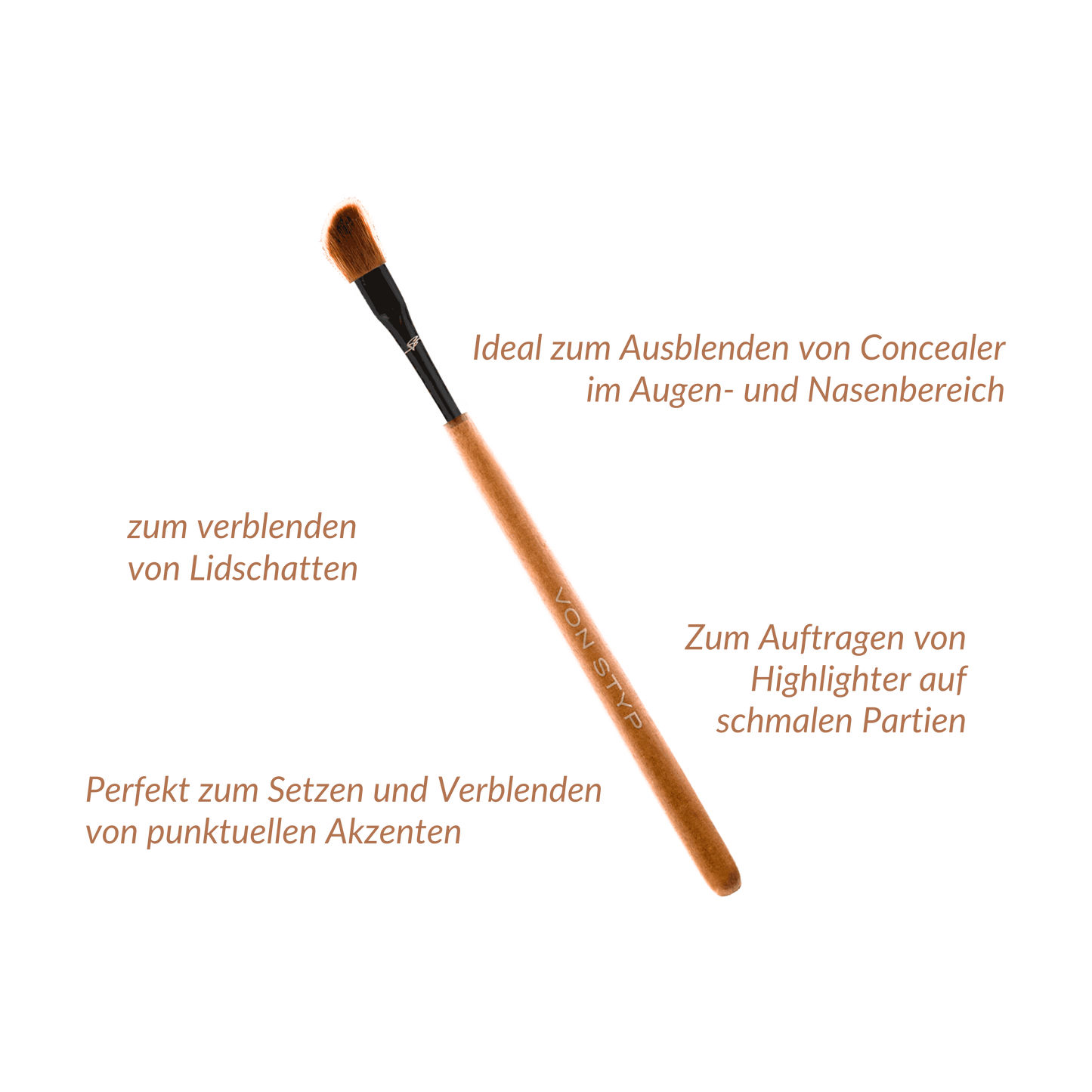 Birch Angled Shadow Brush | E3