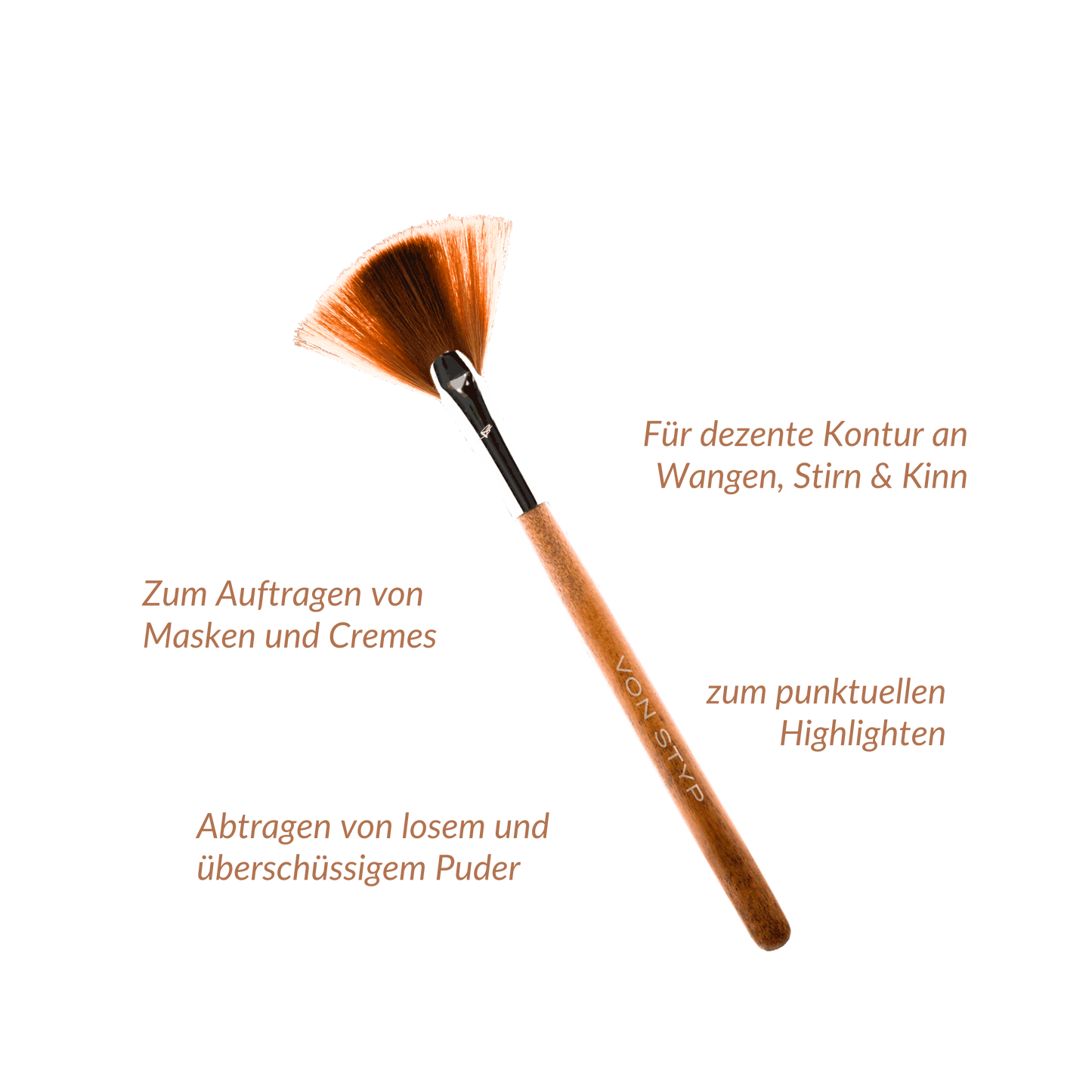 Birch Fan Brush | F3