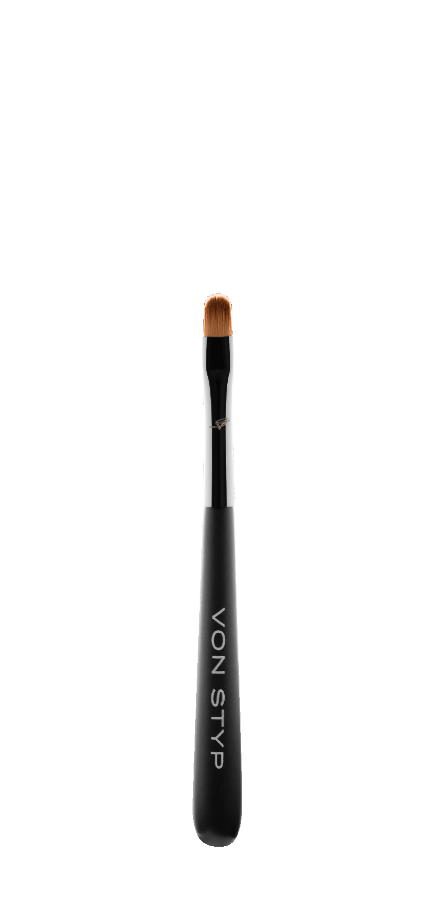 Mystique Lip Brush | L1