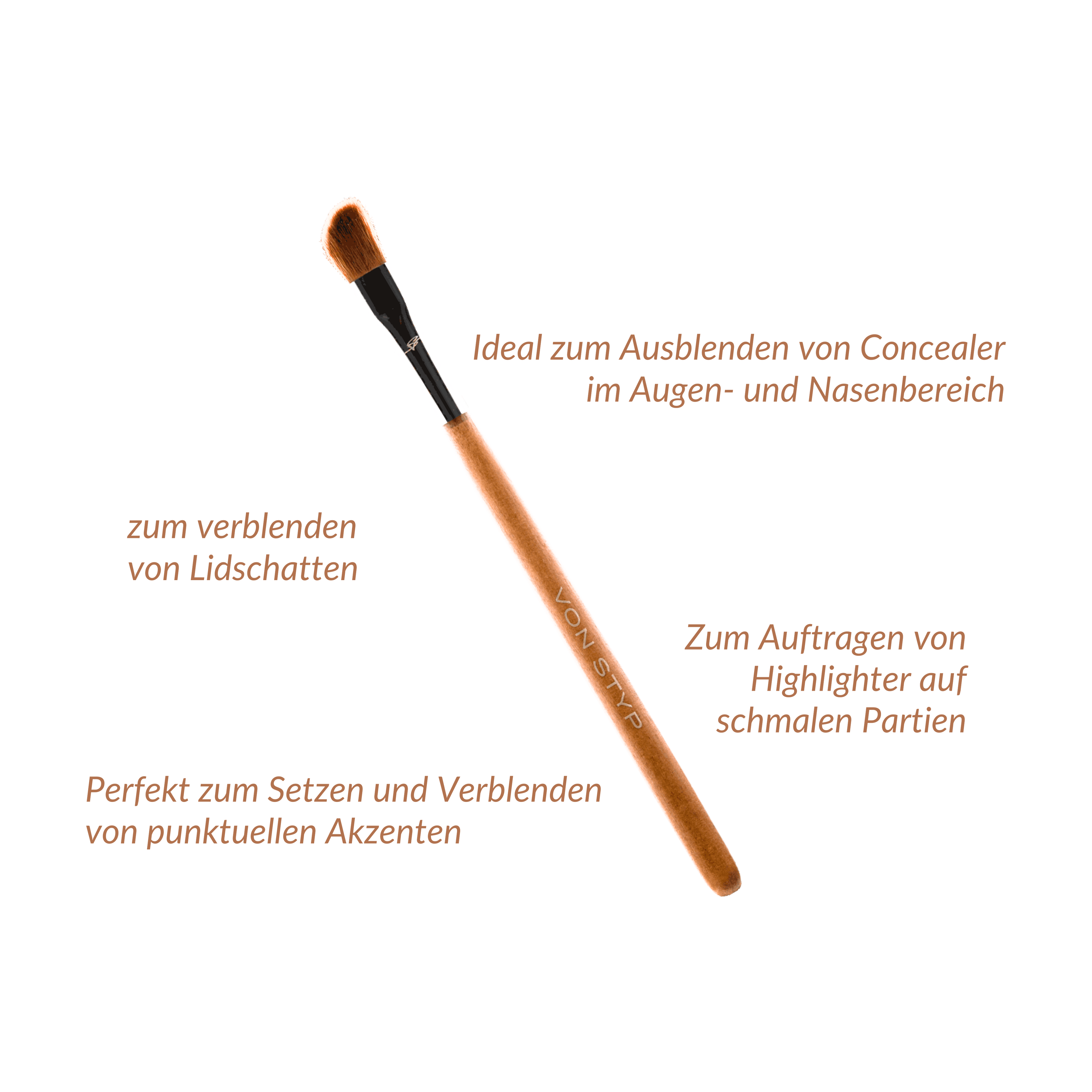 Birch Angled Shadow Brush | E3