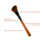Birch Blush Brush | F2