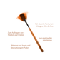 Birch Fan Brush | F3