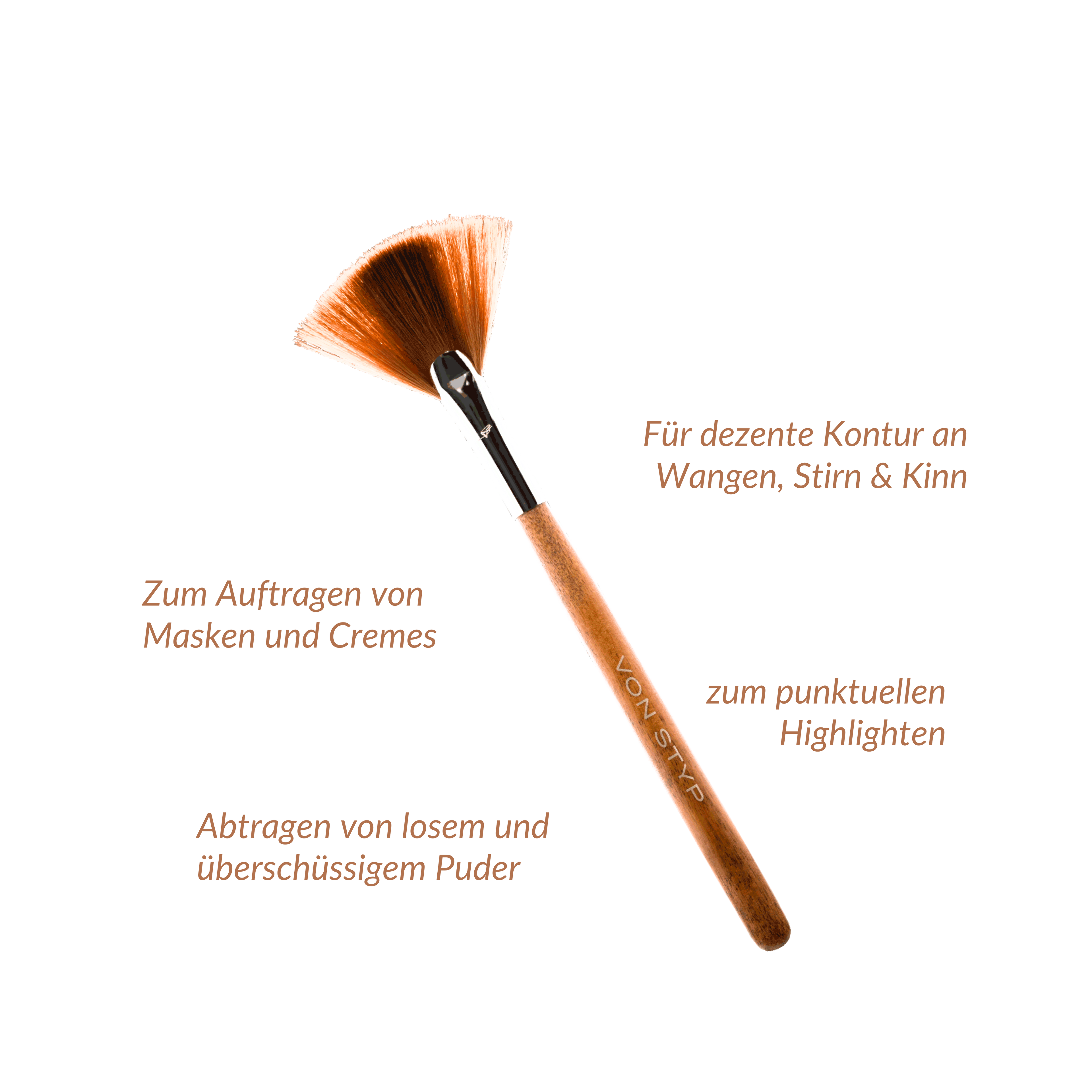 Birch Fan Brush | F3