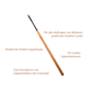 Birch Lip Brush | L1
