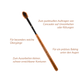 Birch Pointed Brush | E1