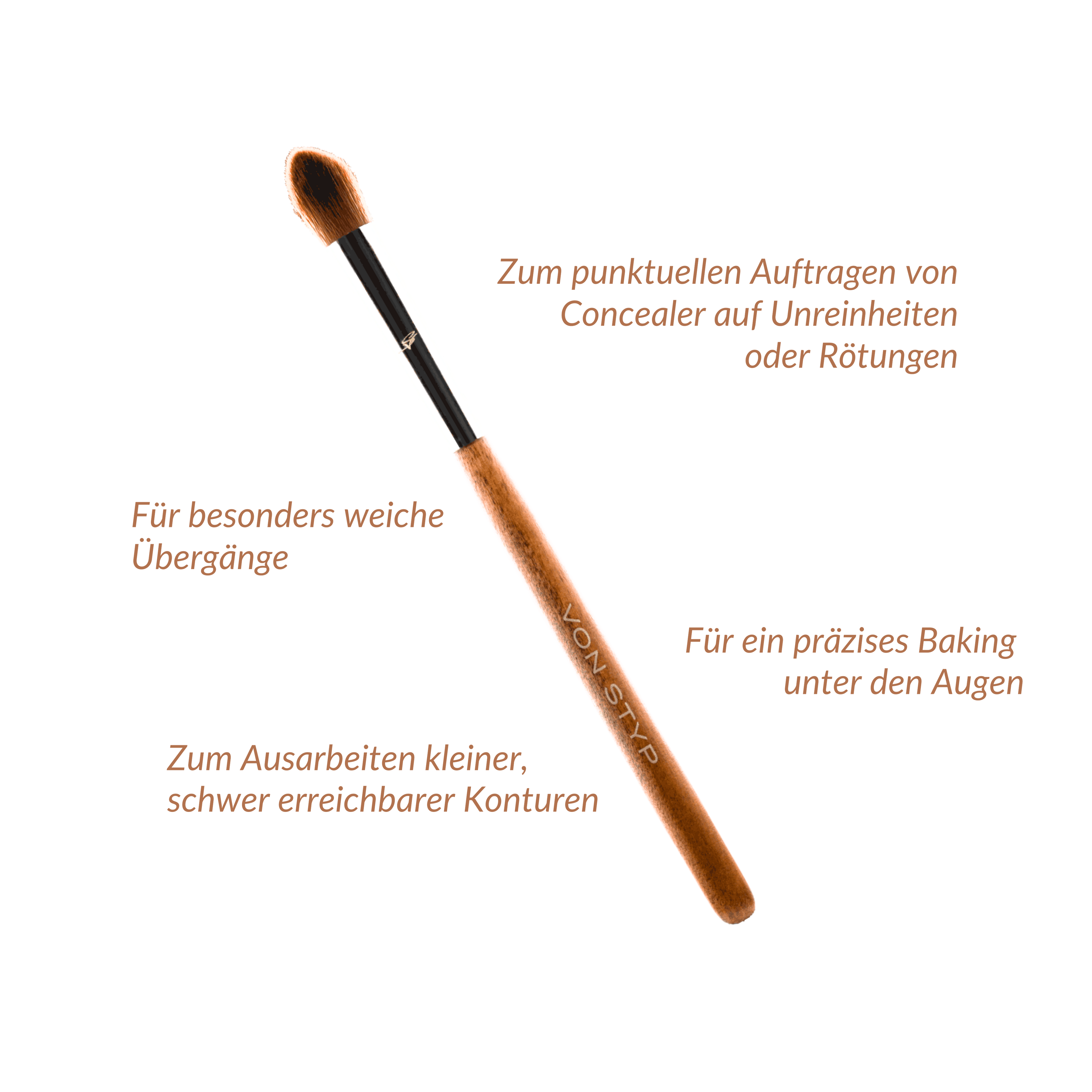 Birch Pointed Brush | E1