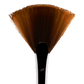 Birch Fan Brush | F3