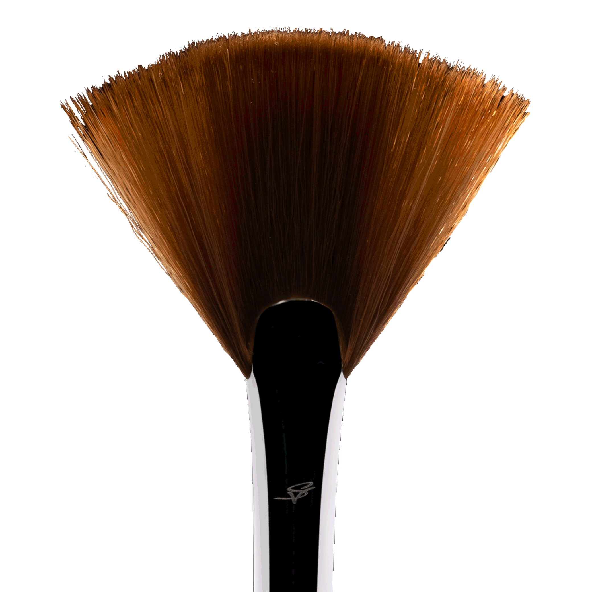 Birch Fan Brush | F3