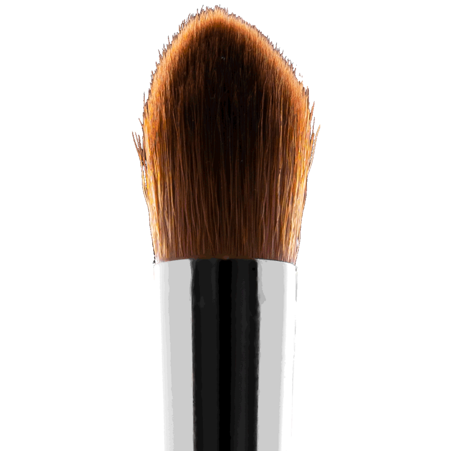 Birch Pointed Brush | E1