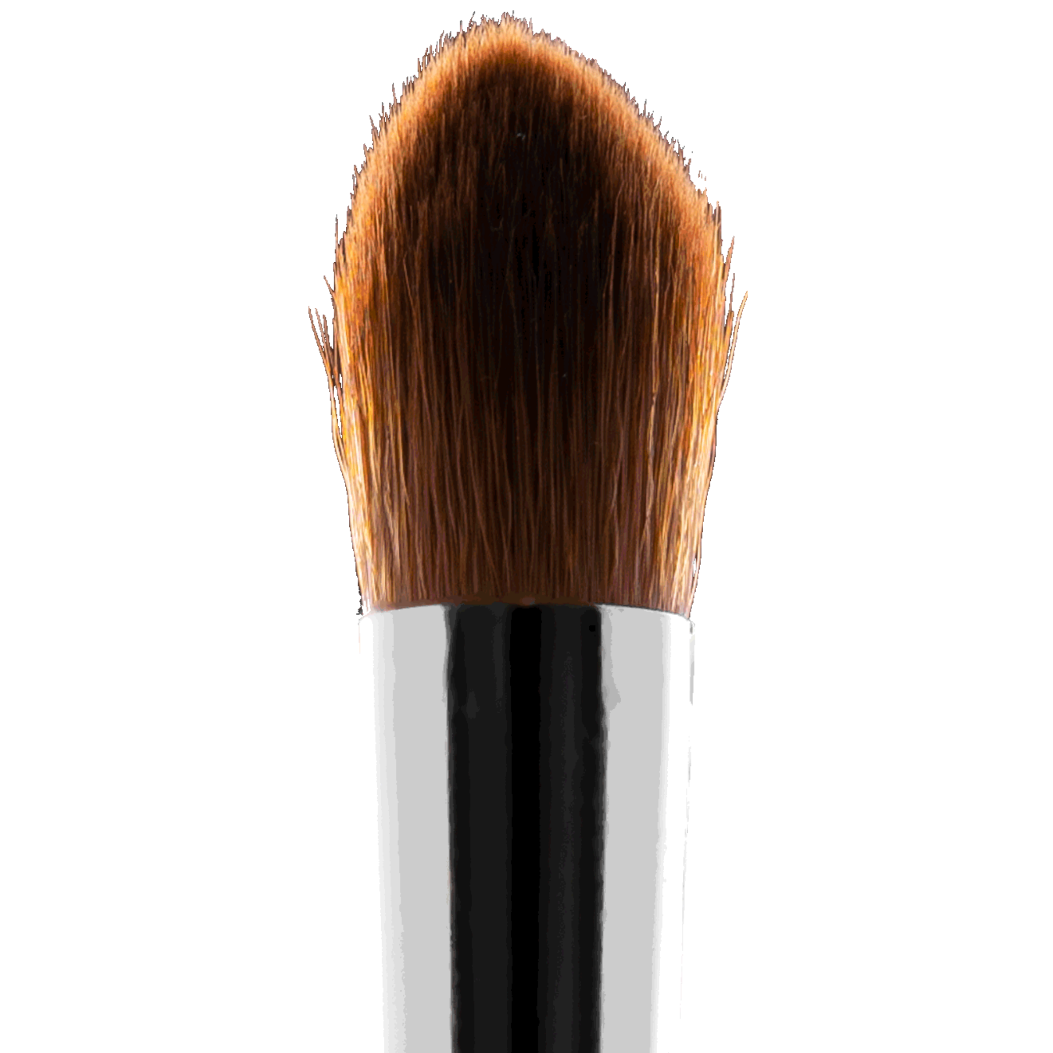 Birch Pointed Brush | E1