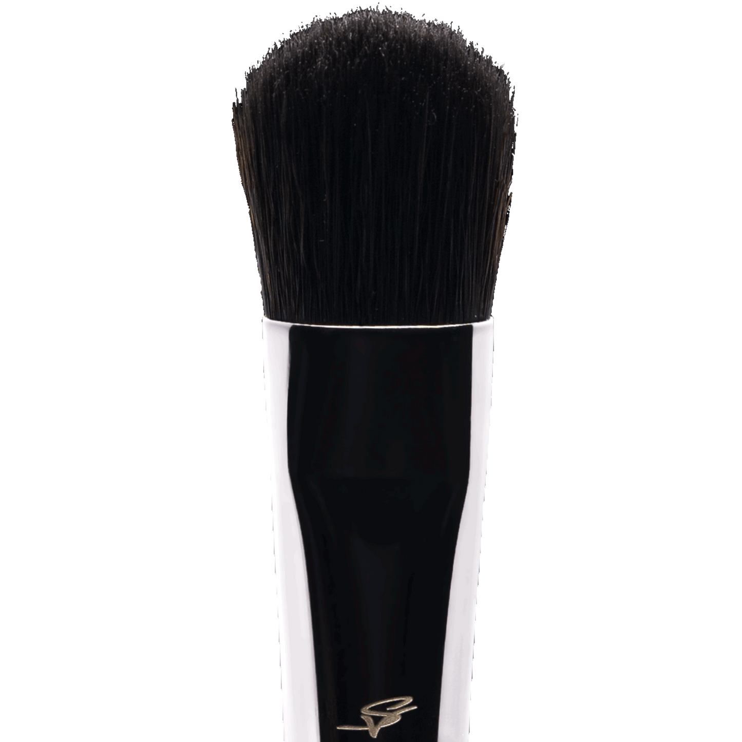 Mystique Blender Brush | E1