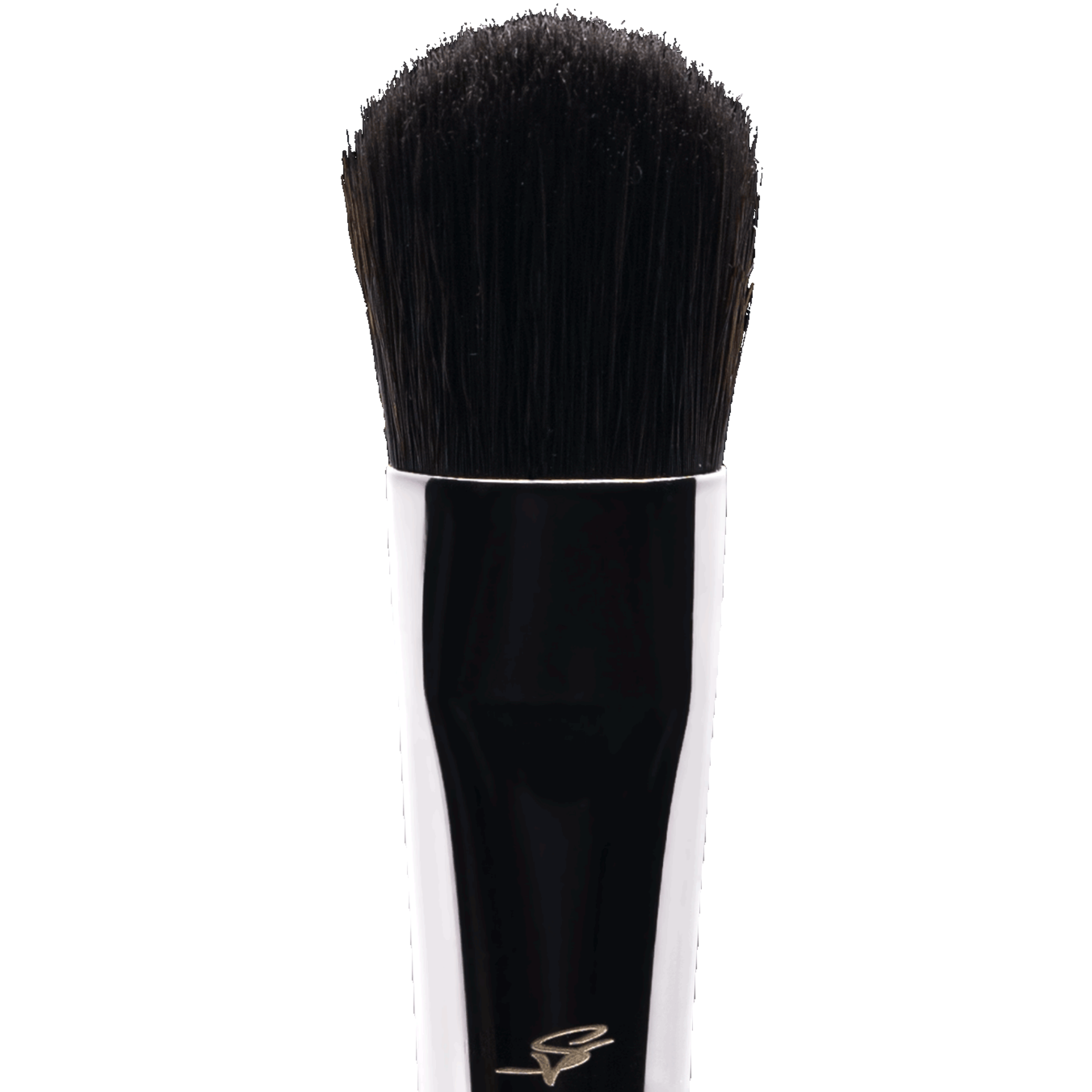 Mystique Blender Brush | E1