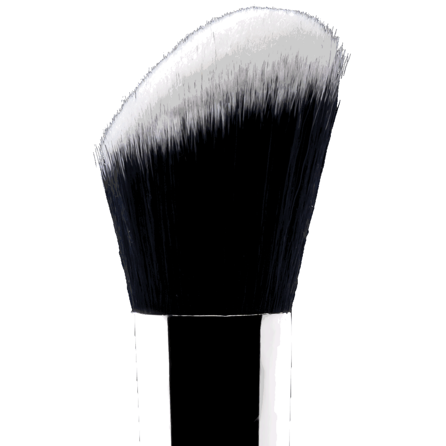 Timeless Blush Brush | F2