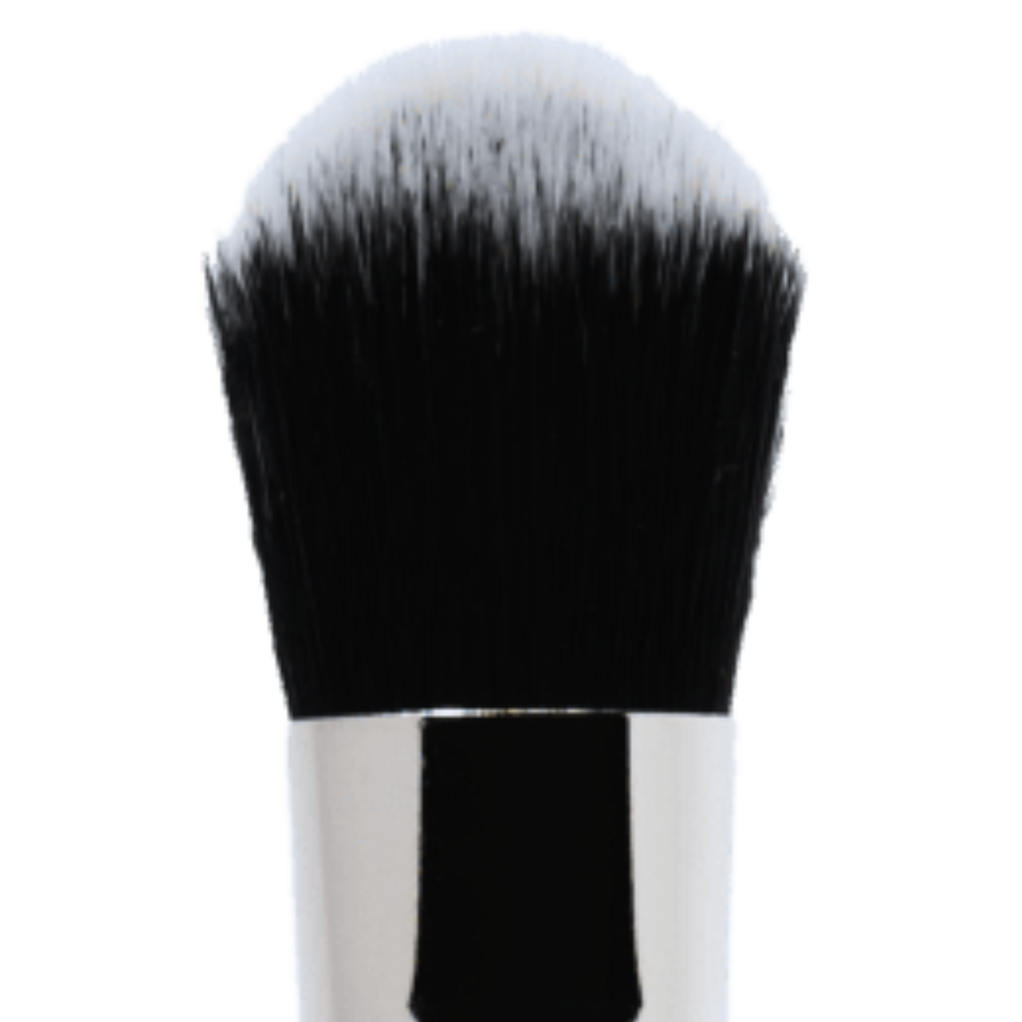 Timeless Highlight Brush | F7