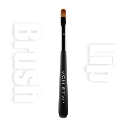 Mystique Lip Brush | L1
